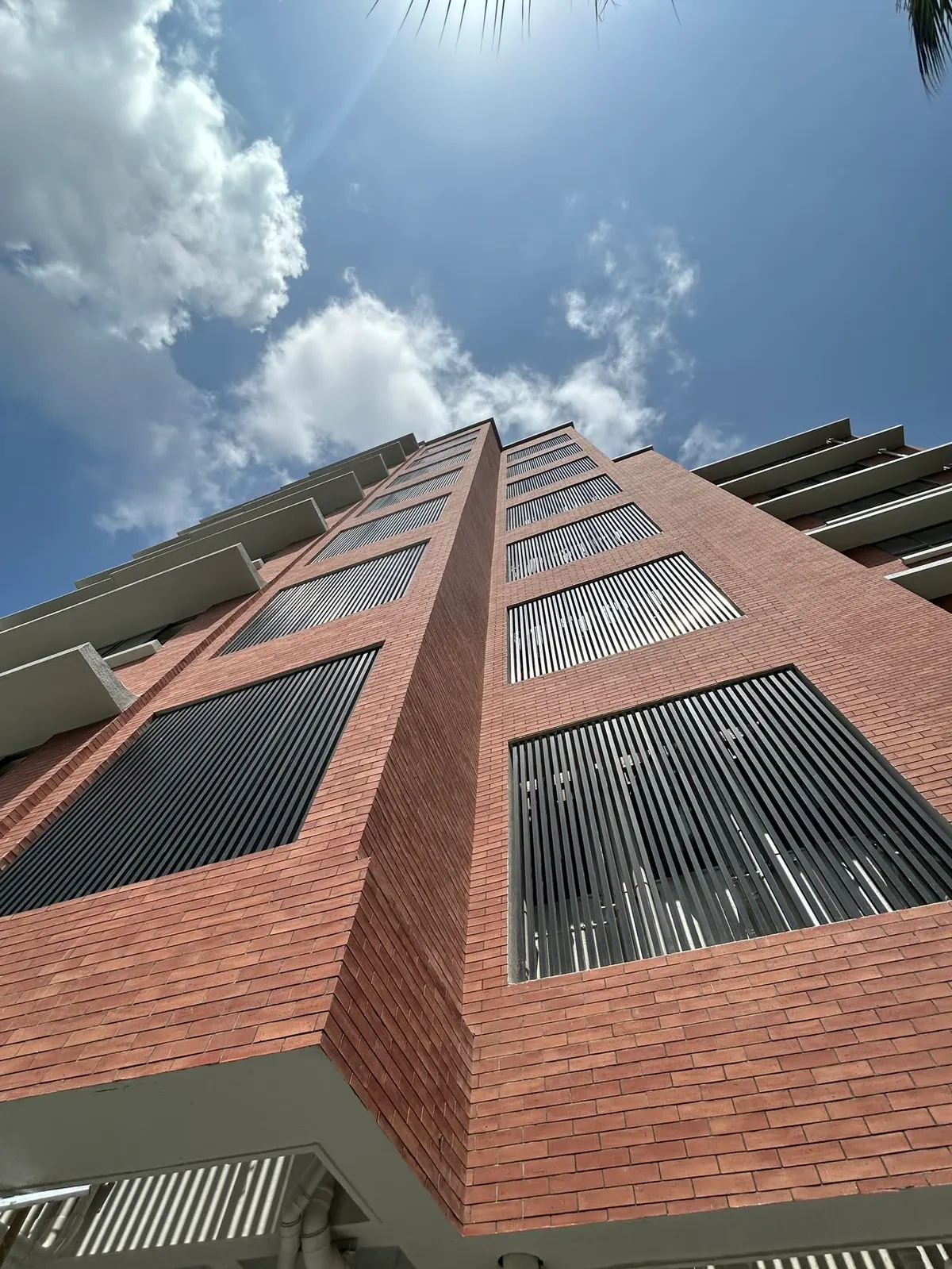 Piel de edificio educativo con ladrillo delgado y huecos profundos